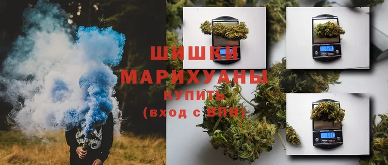 Шишки марихуана индика  Мглин 